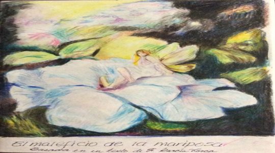 “La leyenda del Facebook de Viridiana”