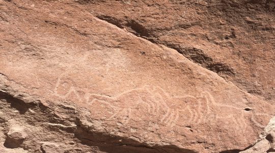 Unidad 2. Explicar con claridad: la exposición