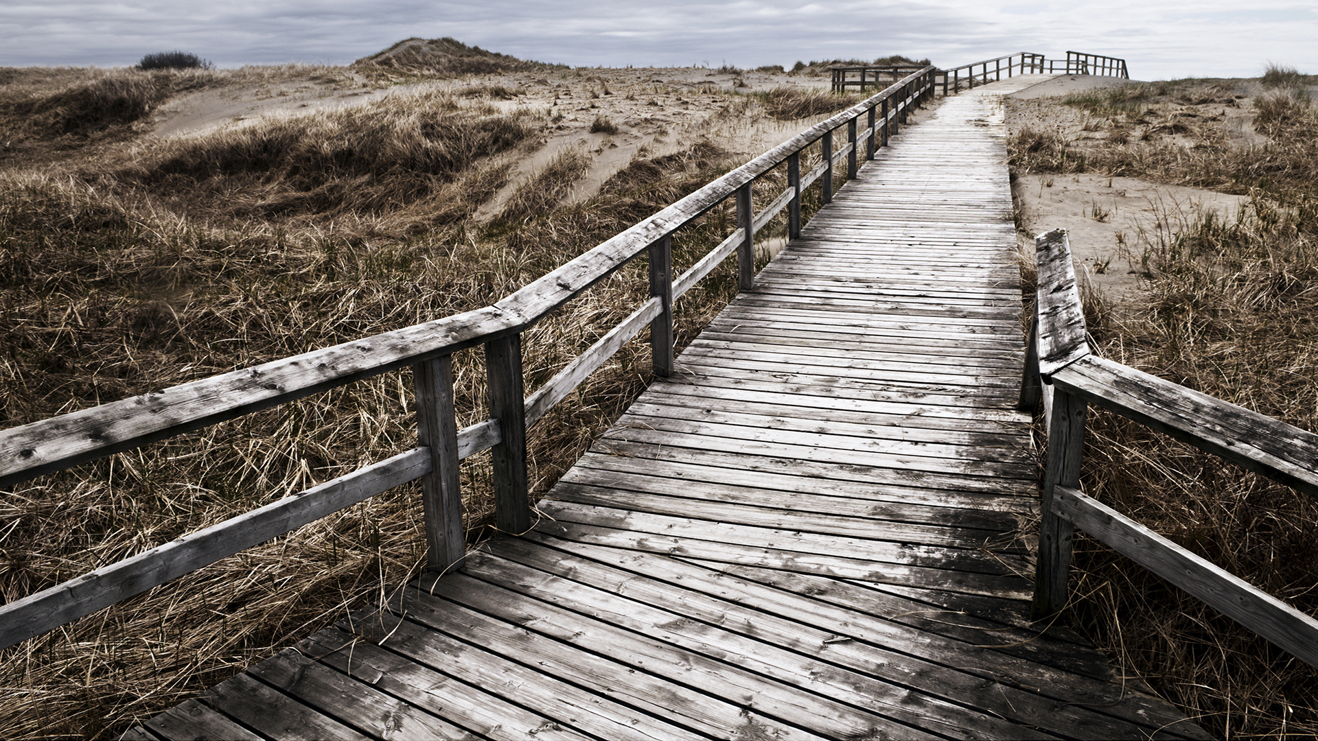 Eliquam erat volutpat