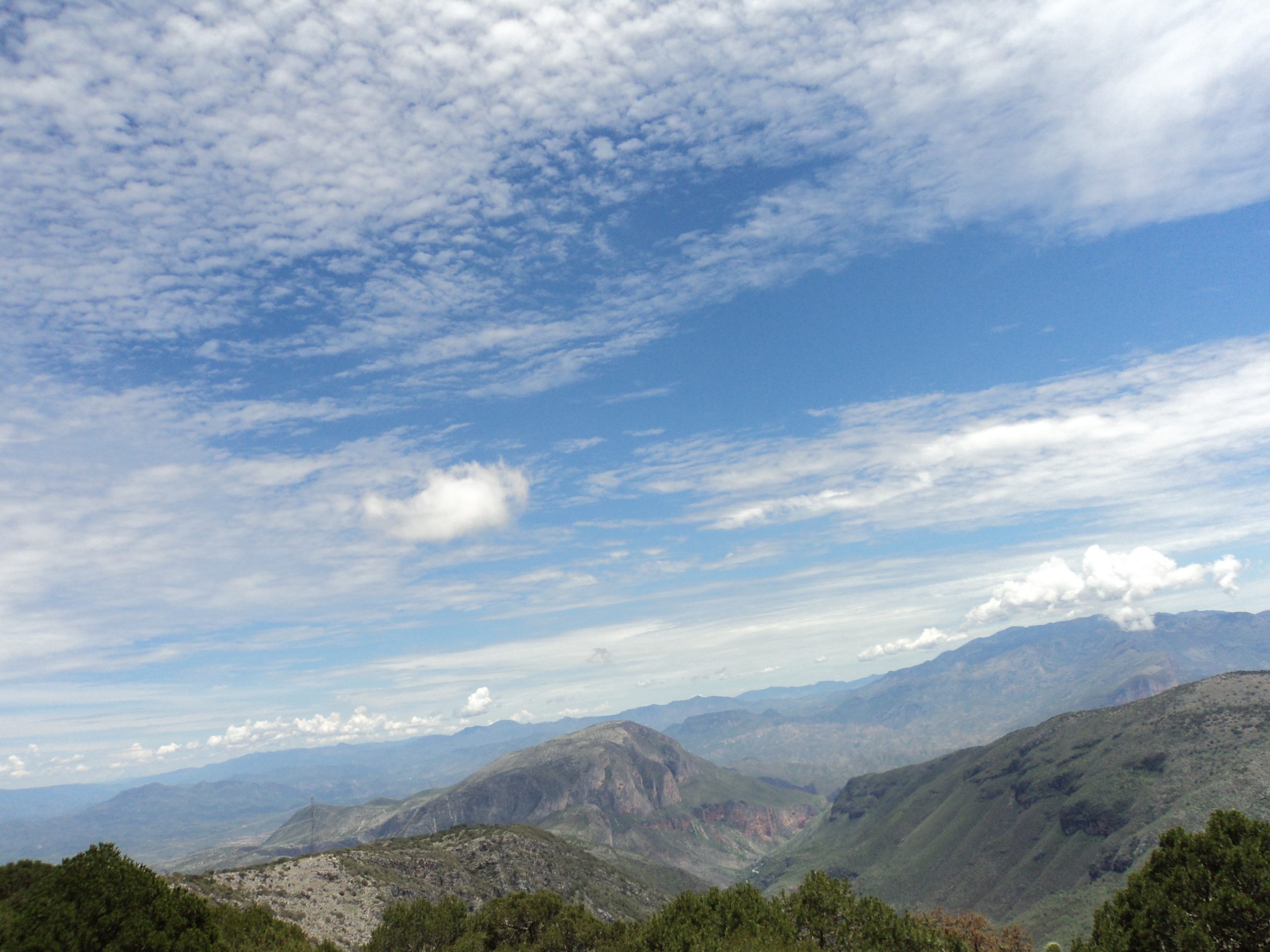 “La leyenda del Facebook de Viridiana”