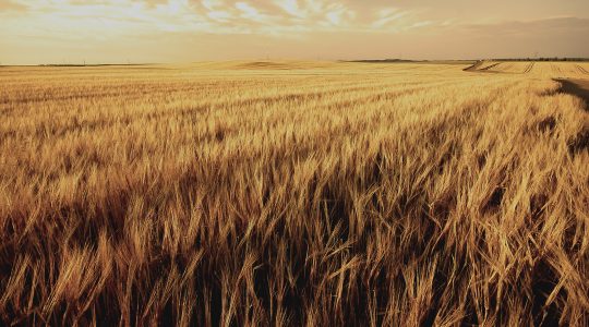 Tarea 1. Indicaciones